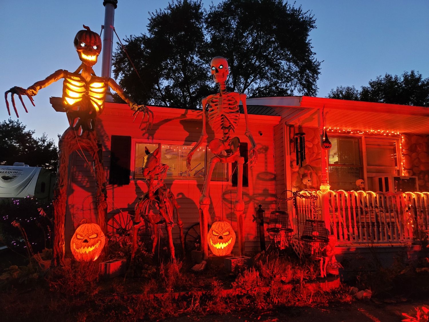 skelly house
