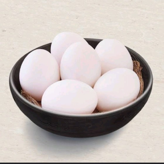 Egg
