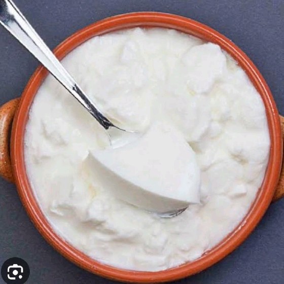 Plain Curd