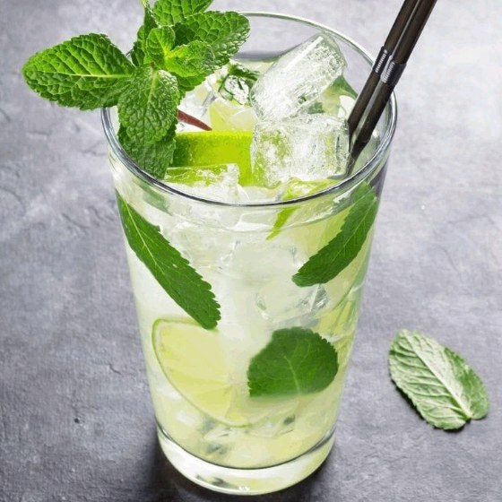 Lemon Mint Mojito