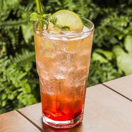 Watermelon Mojito