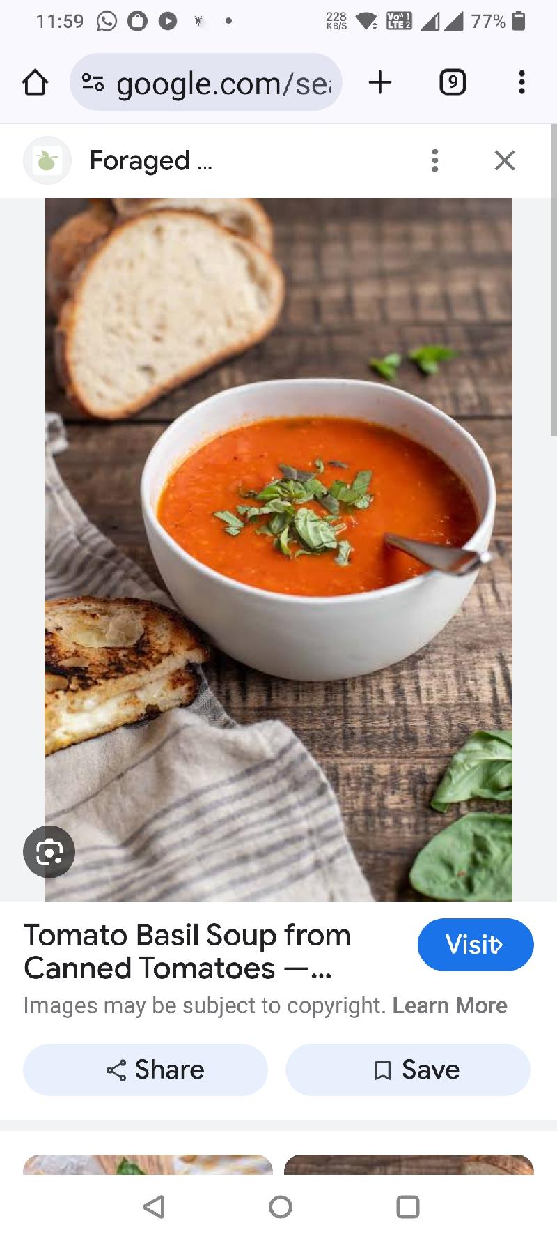 Tangy Tomato Soup
