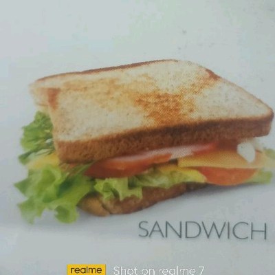Cheese Sandwich