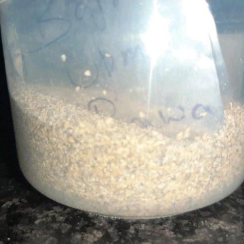 ragi atta