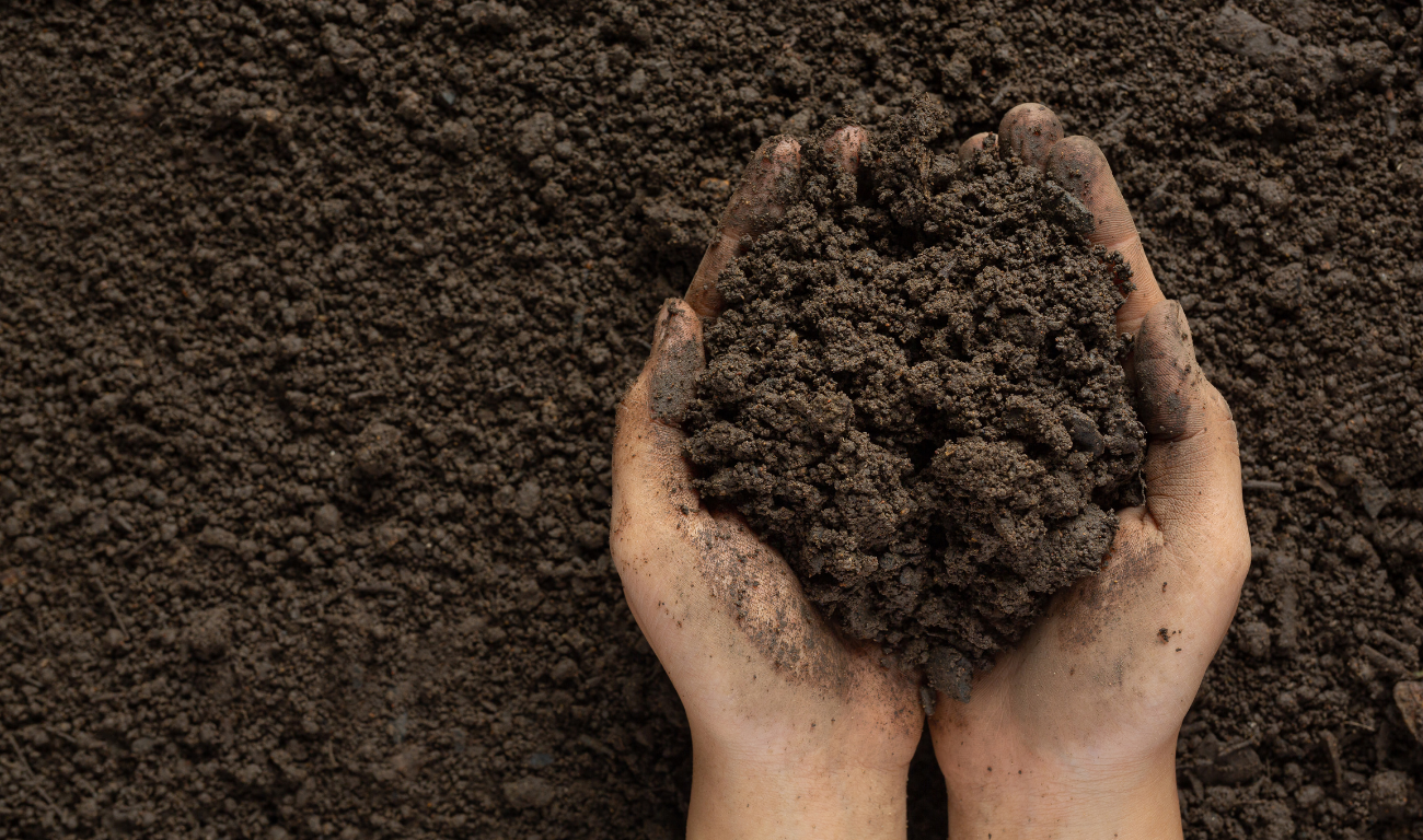 The Breath of the Earth