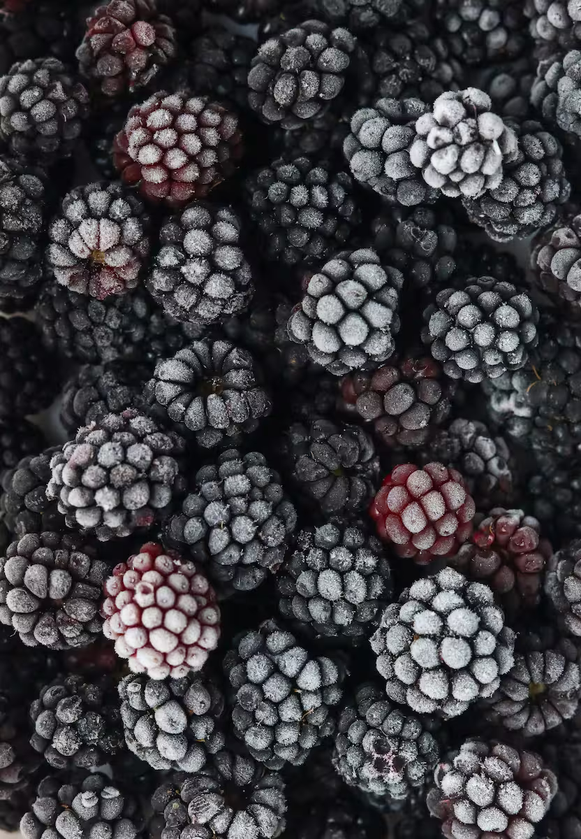 Blackberries 2