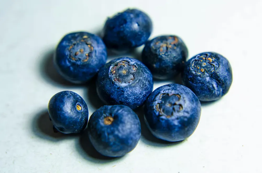 Blueberries 2