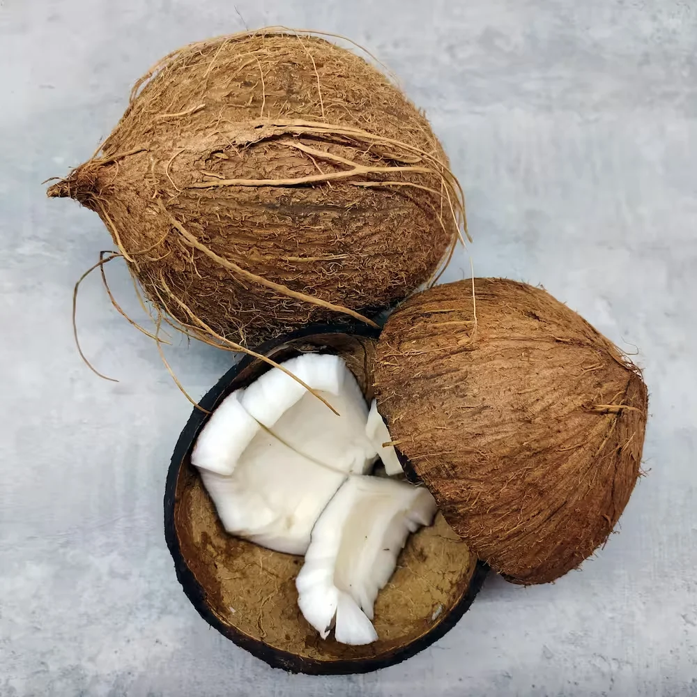 Coconut