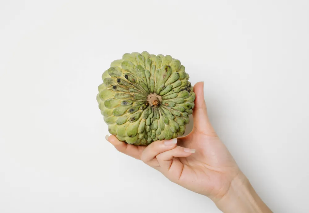 Custard apple 2
