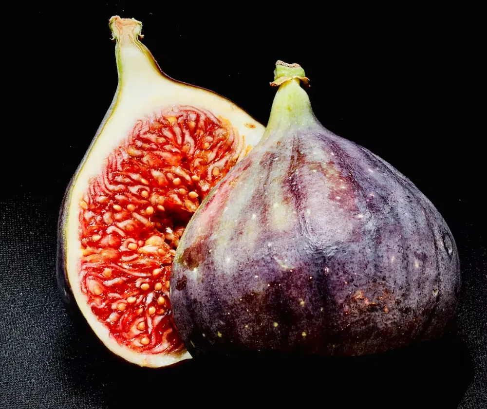 Figs 2