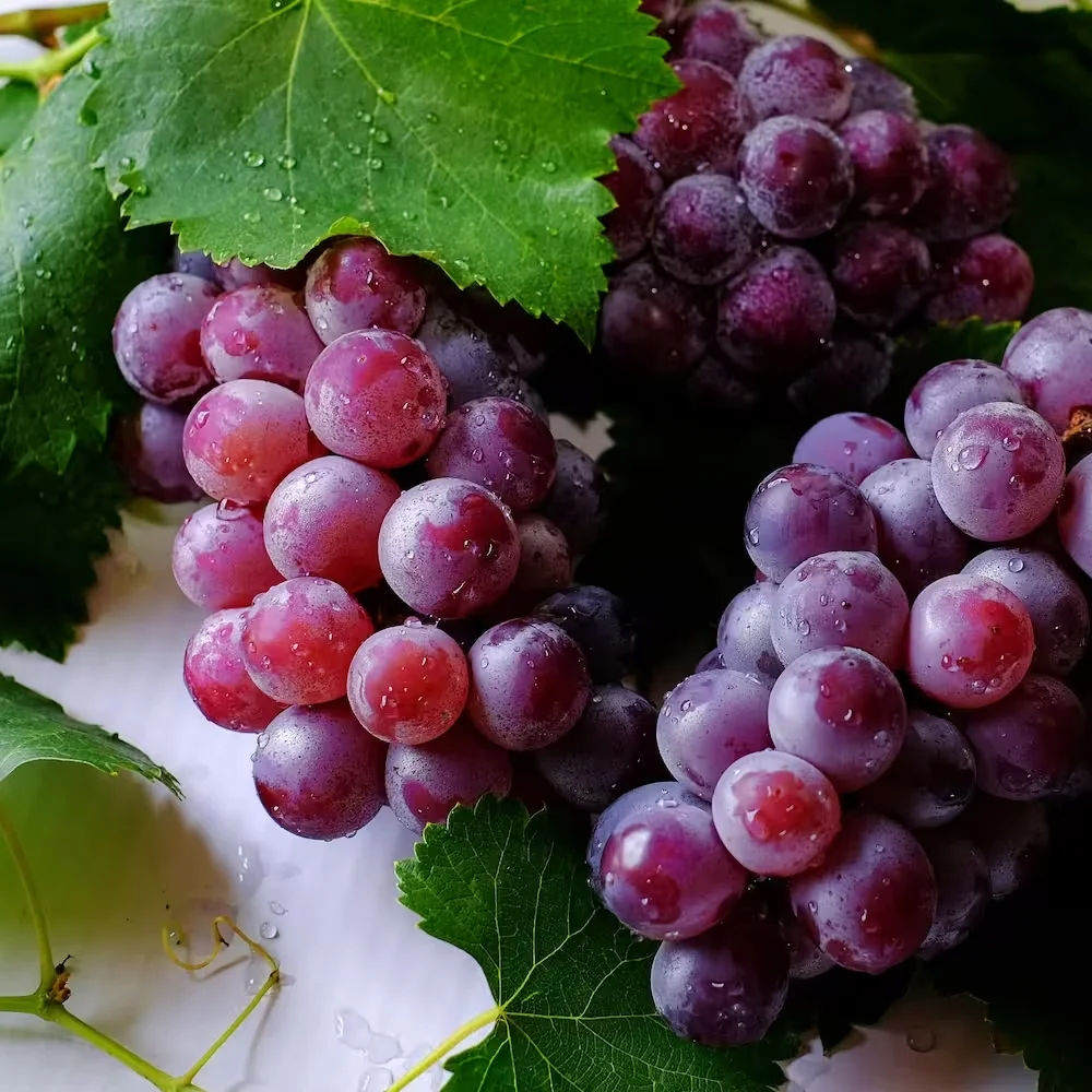 Grapes