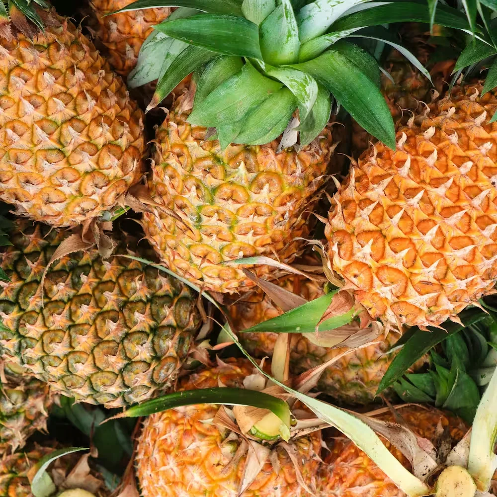 Pineapple