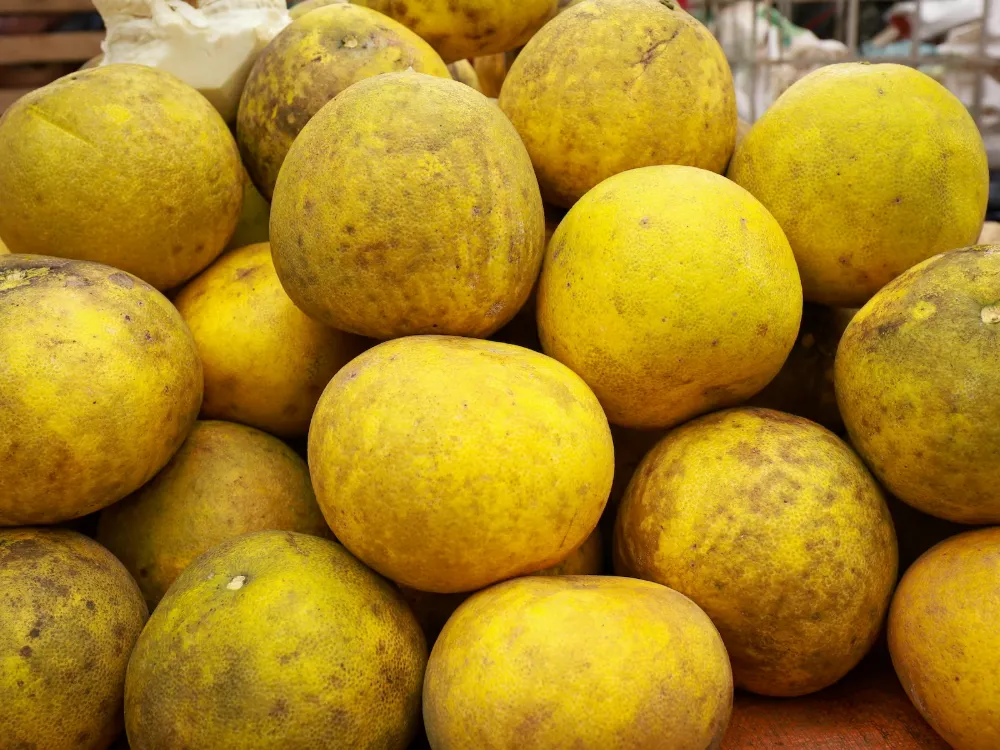 Pomelo 2