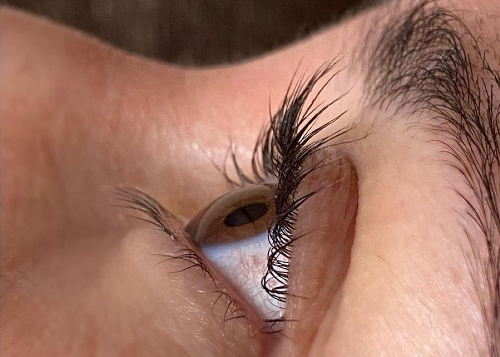 Lifting de pestañas sin tinte 