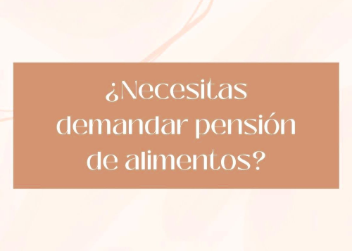 Demanda pensión de alimentos.