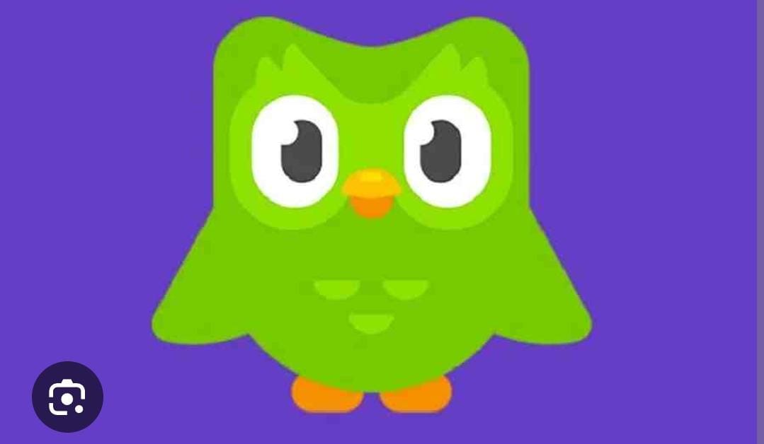 DUOLINGO 1 MES