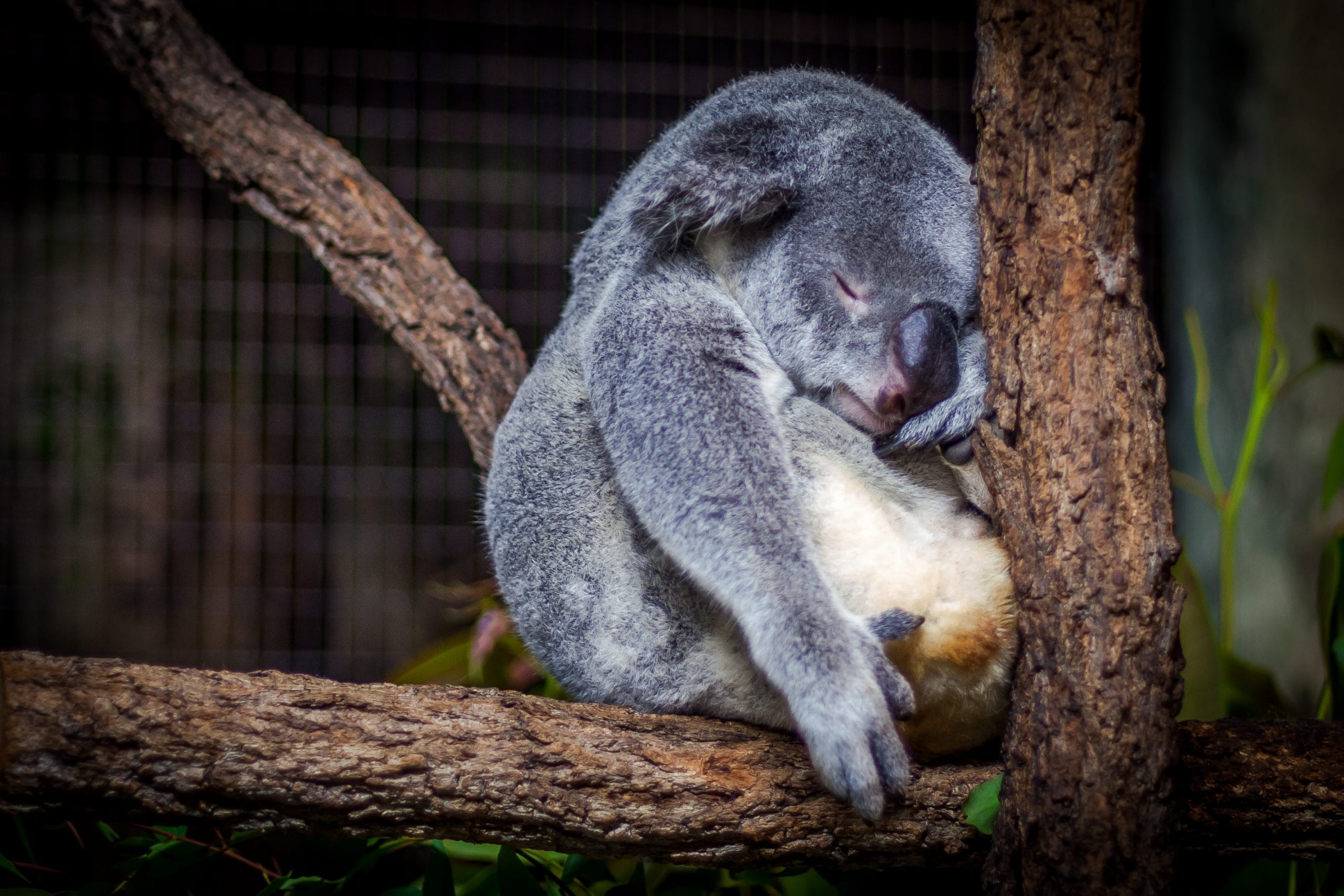 sleep, relax massage