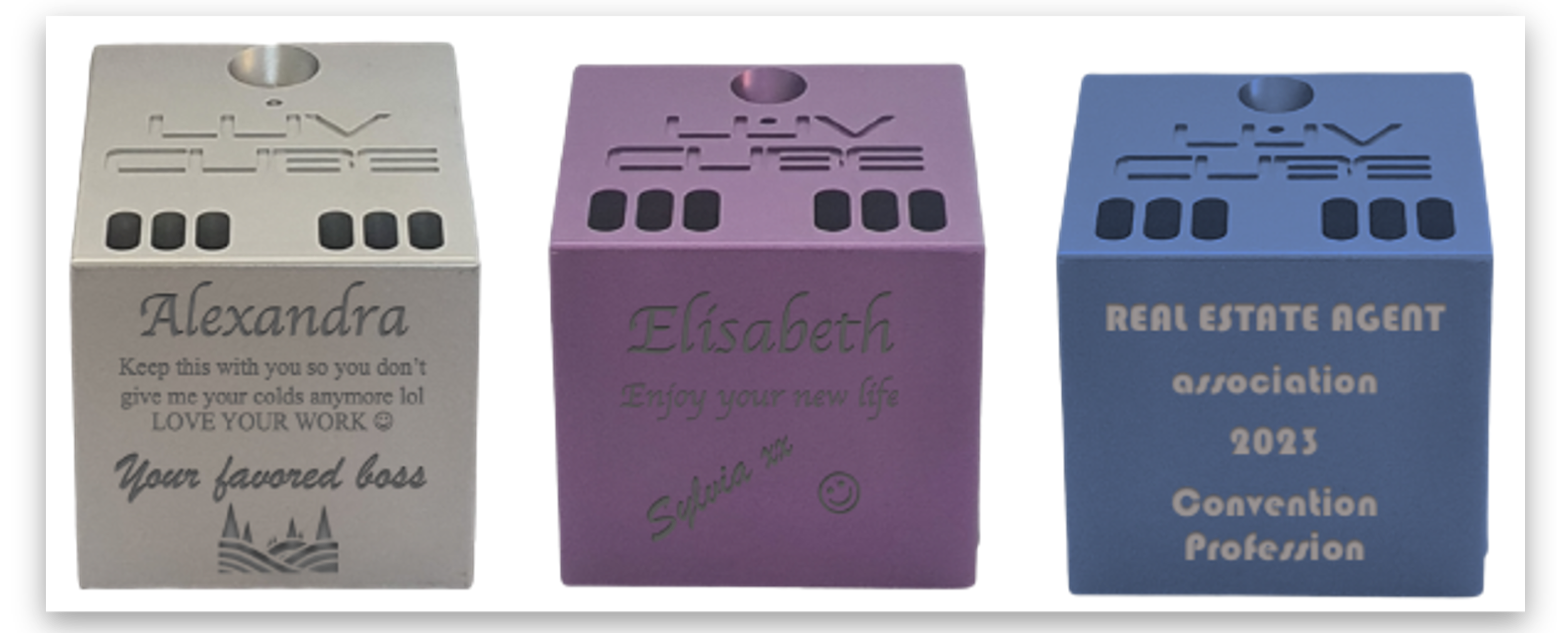 1e financieringsdoel van E-Safer Life