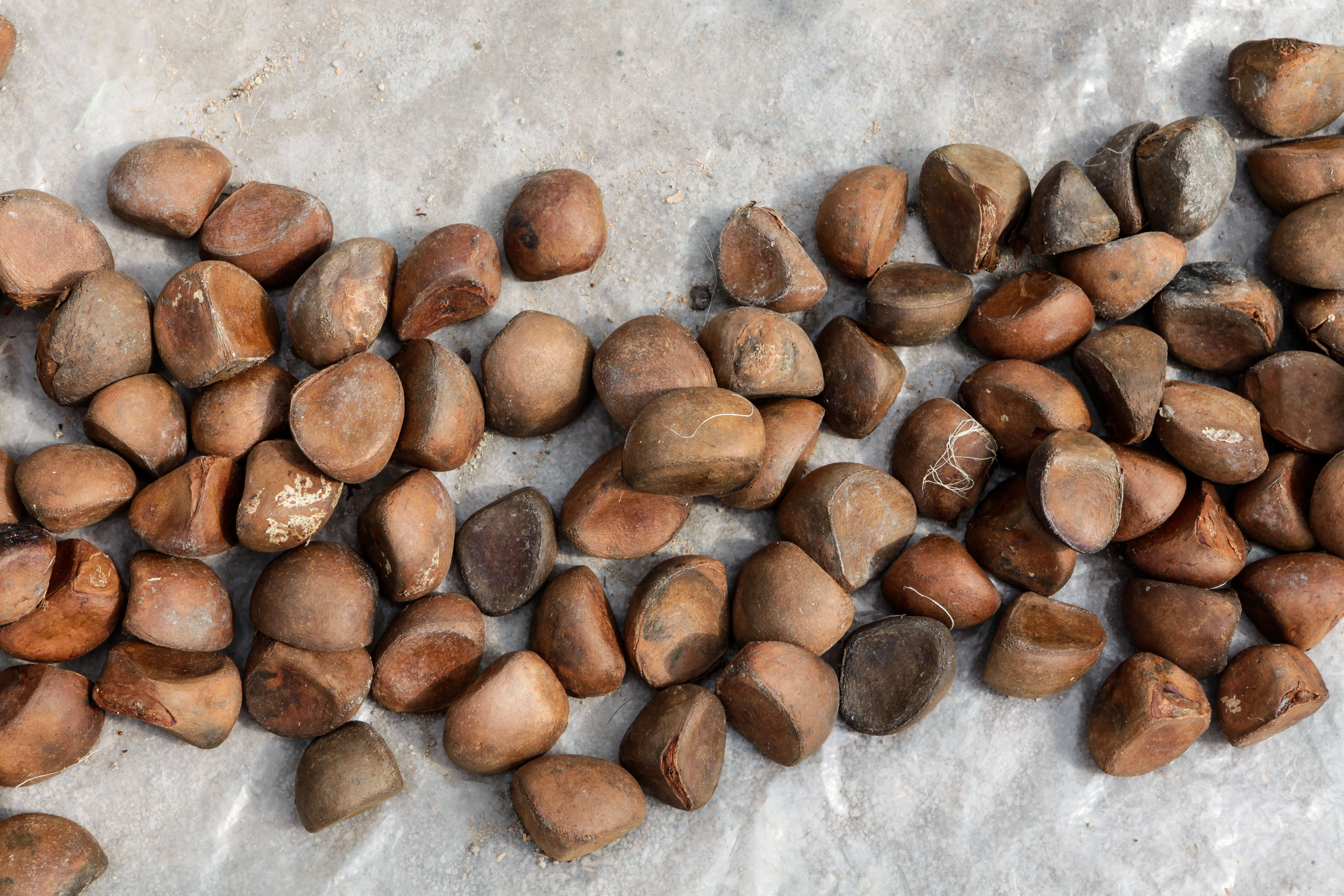 1e financieringsdoel van Afiba Naturals