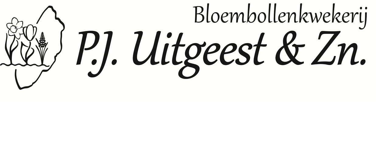 Logo van P.J.Uitgeest & Zn