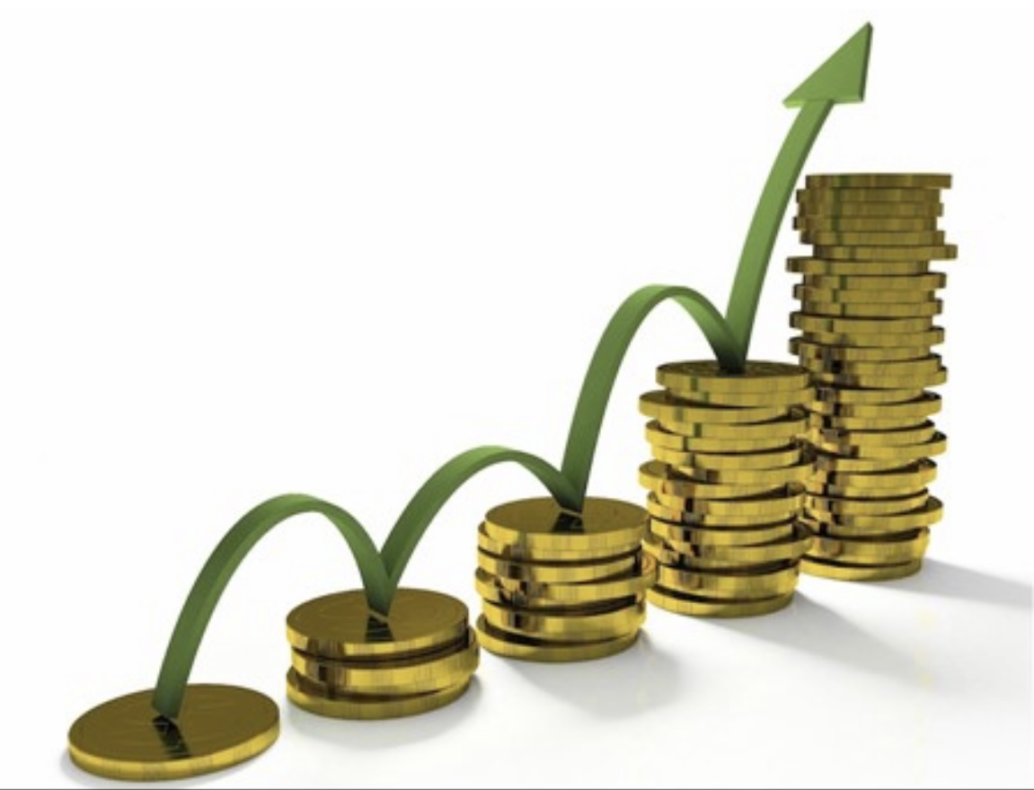 1e financieringsdoel van E.E. Ahmedova