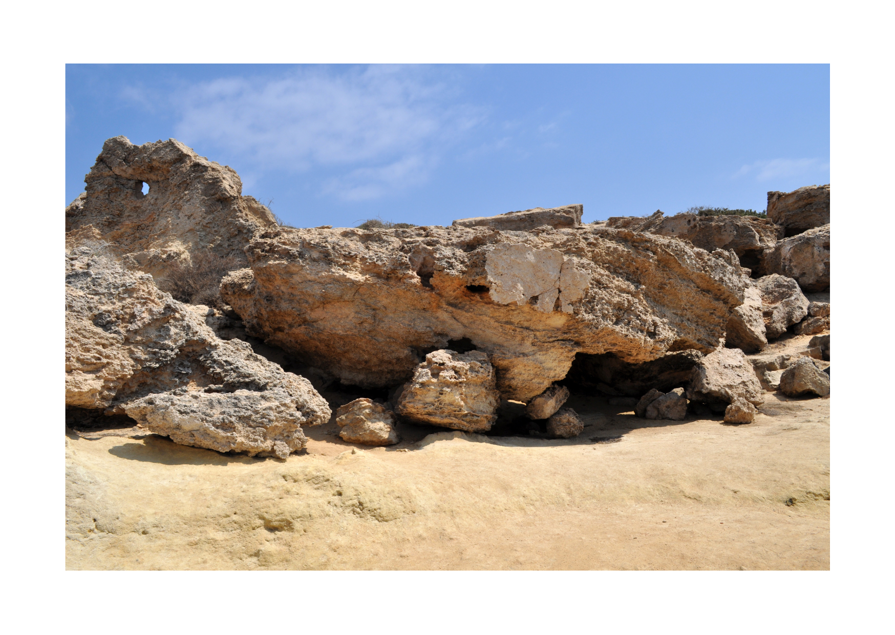 1e financieringsdoel van Blossom Moon