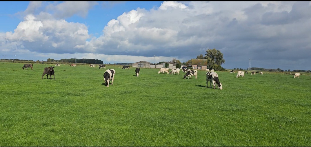 Obligaties van Melkveebedrijf Almorfe schans