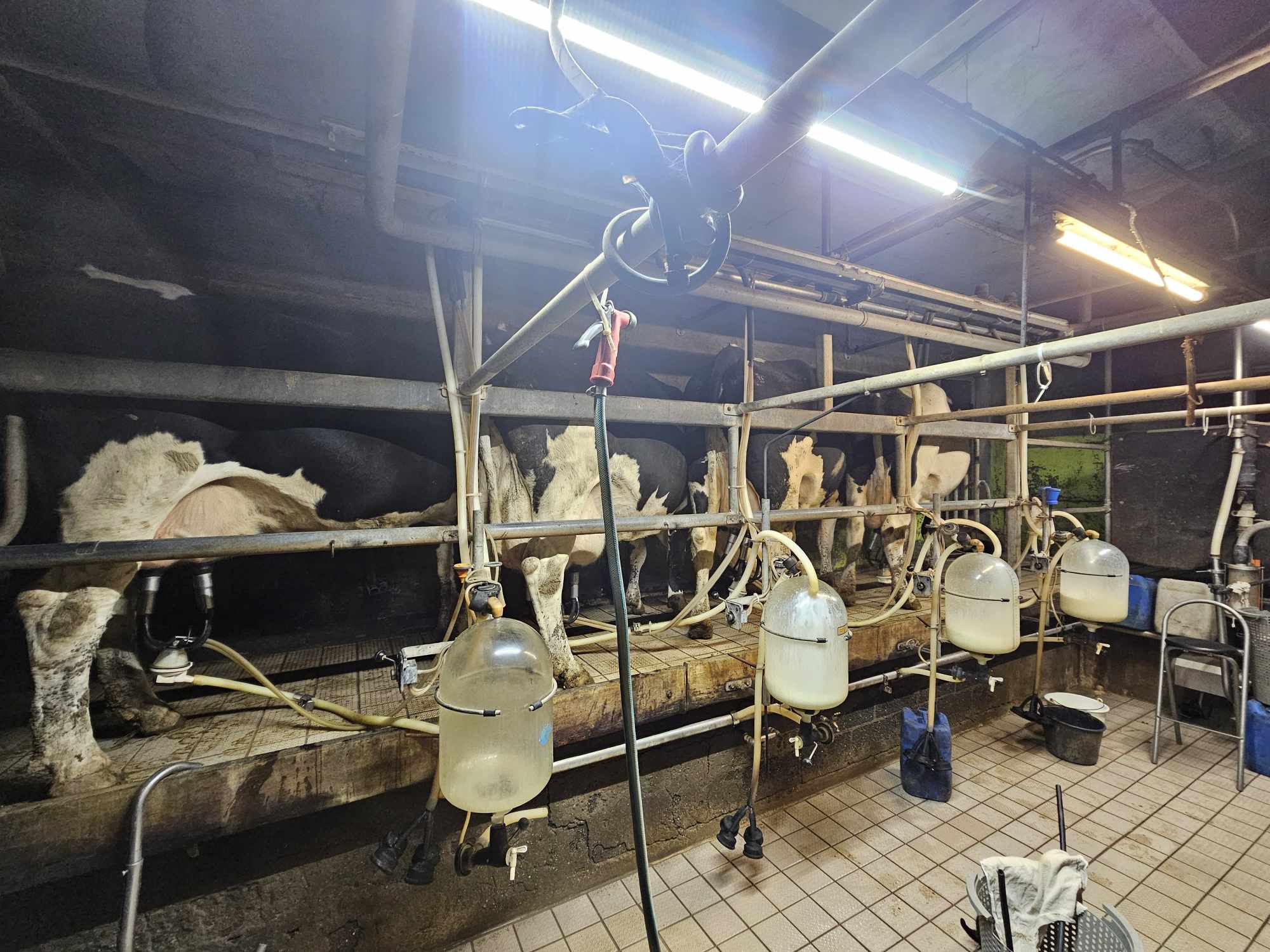 1e financieringsdoel van Melkveebedrijf Almorfe schans