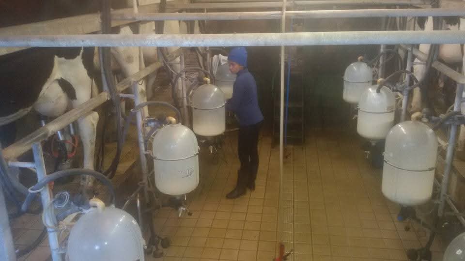 1e financieringsdoel van Melkveebedrijf Almorfe schans