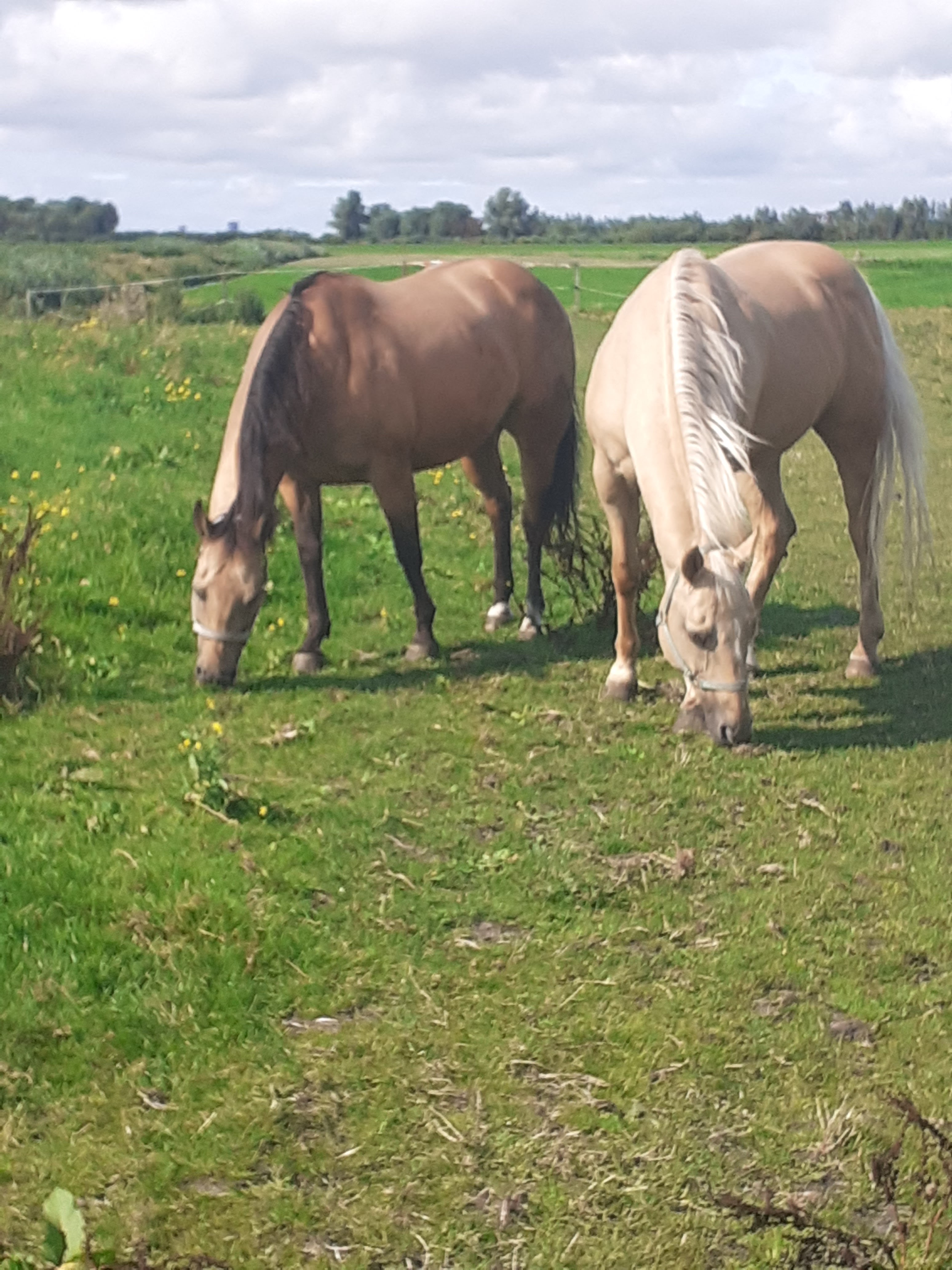 1e financieringsdoel van Equina