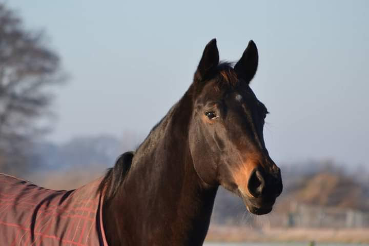 1e financieringsdoel van Equina