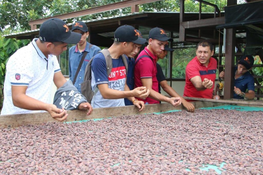 Ruta del cacao