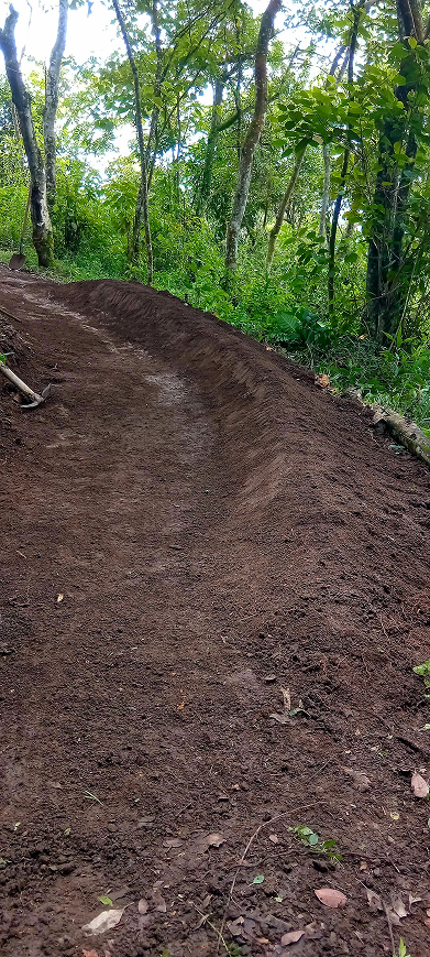 Pista