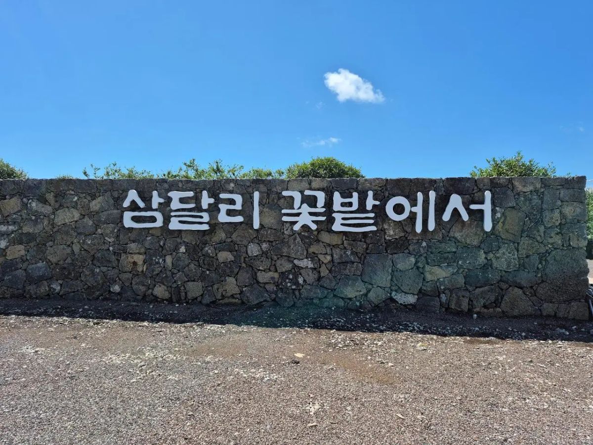 제주 동쪽 커플 데이트 성공 보장 5코스