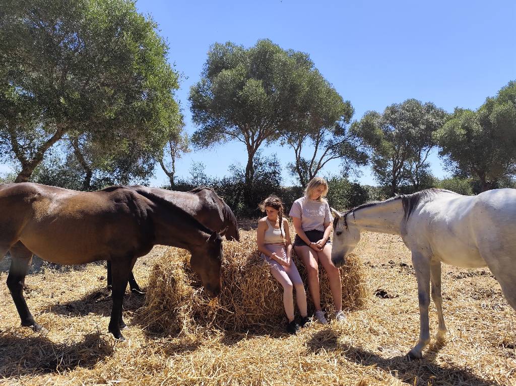 Relajación & Mindfulness con Caballos