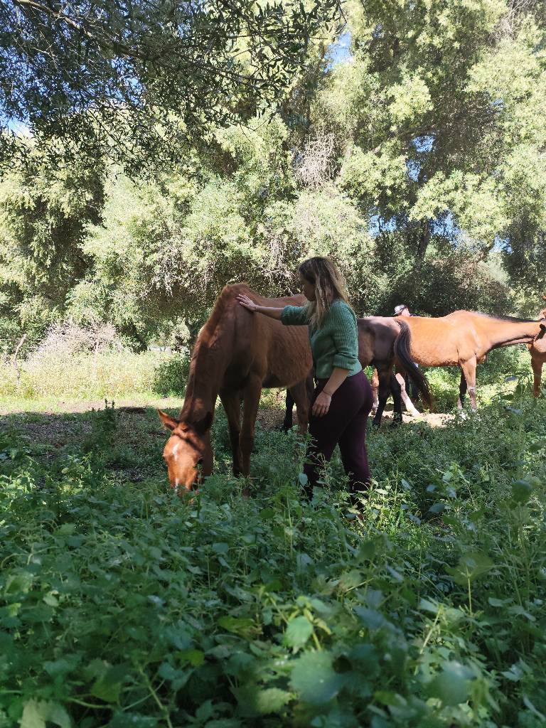 Relajación & Mindfulness con Caballos