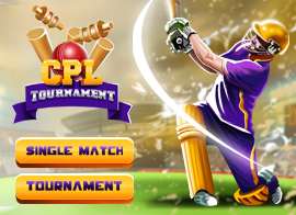 play online cricket games