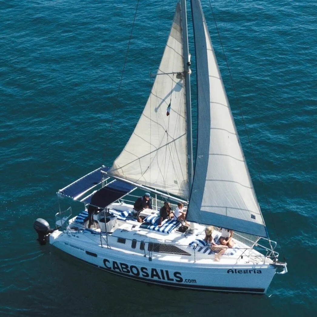 Alegria 33