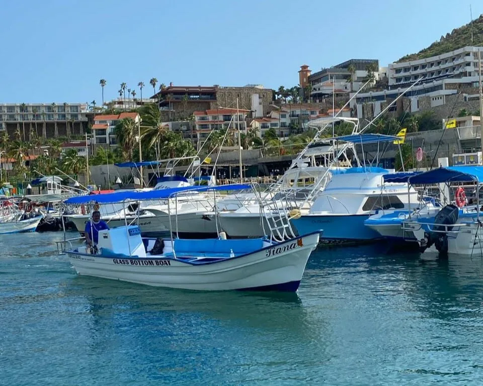 Arch Tour - Panga Boat