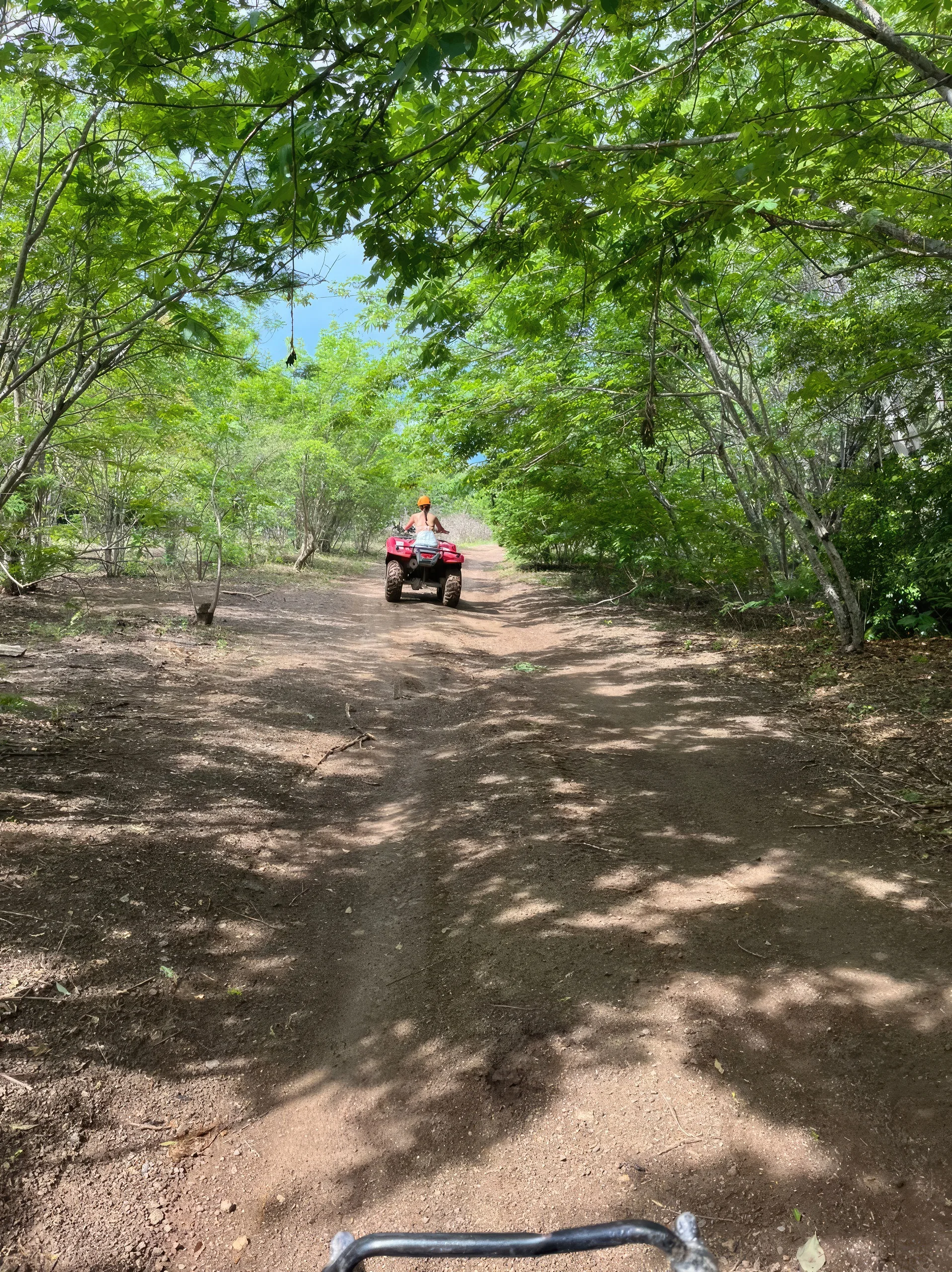 ATV Adventure - Jungle and Beach