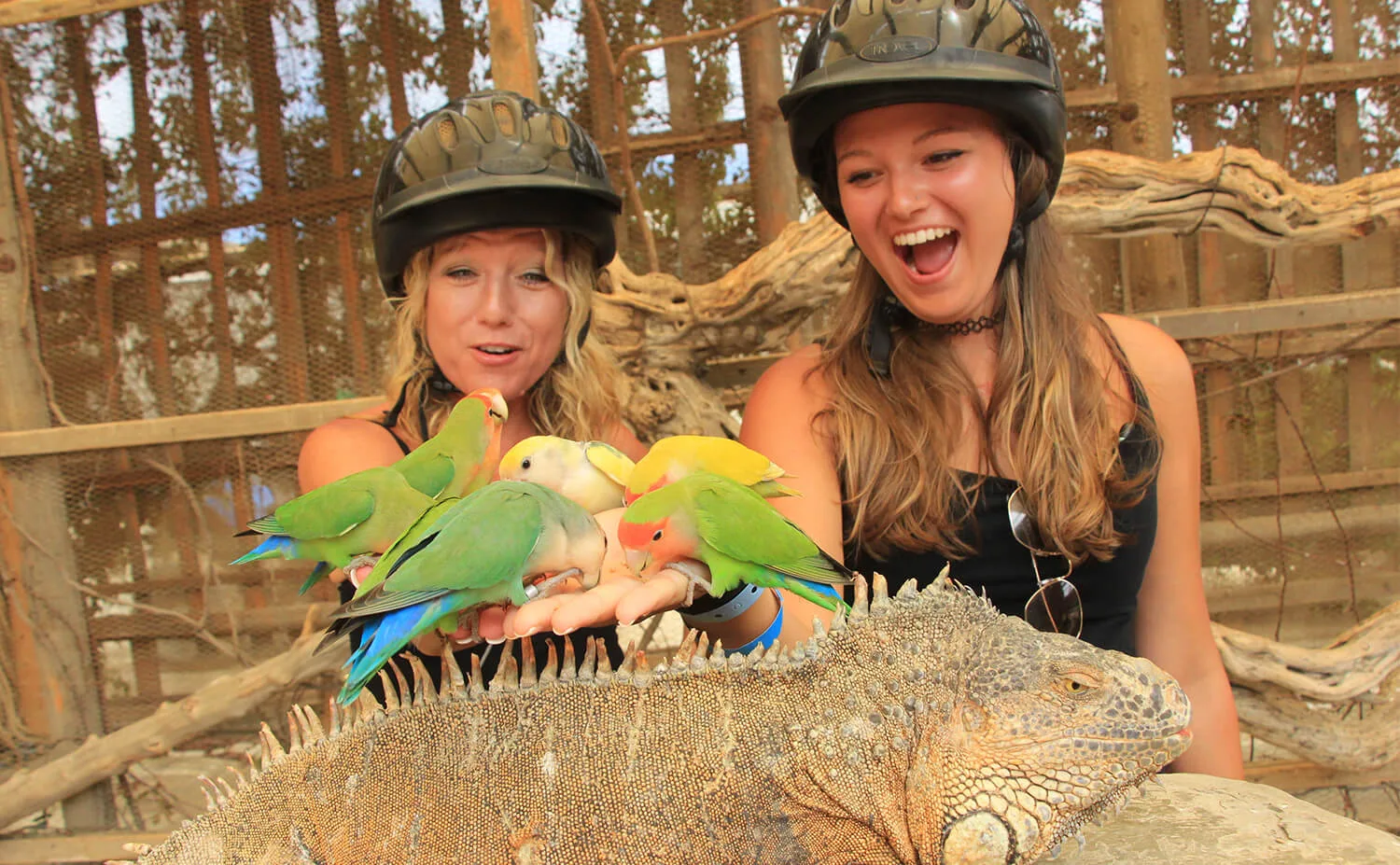 ATV Tour - Beach & Dunes