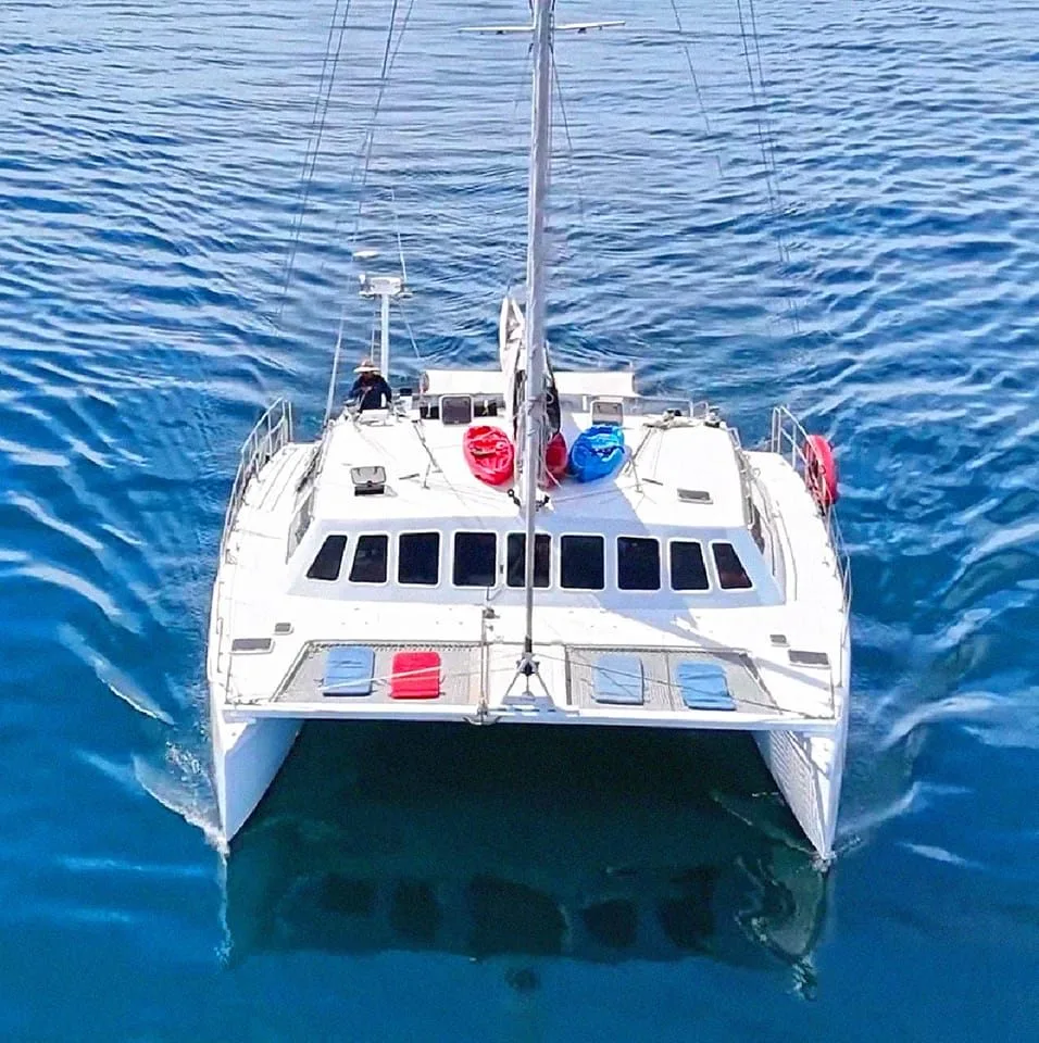 Baja Cat - All Inclusive Two Days, One night