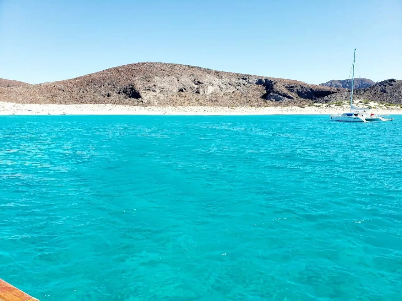 Baja Cat - All Inclusive Two Days, One night