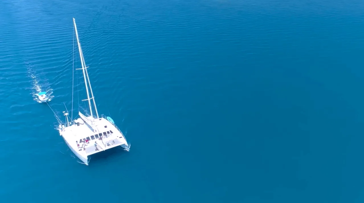 Baja Cat - All Inclusive Half Day Cruise