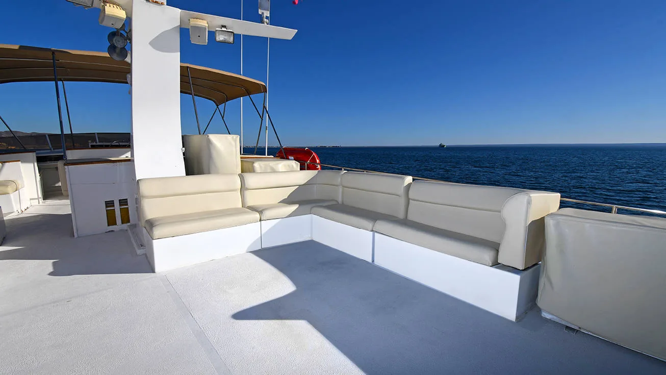 Baja Pacifica - All Inclusive Full-Day Cruise