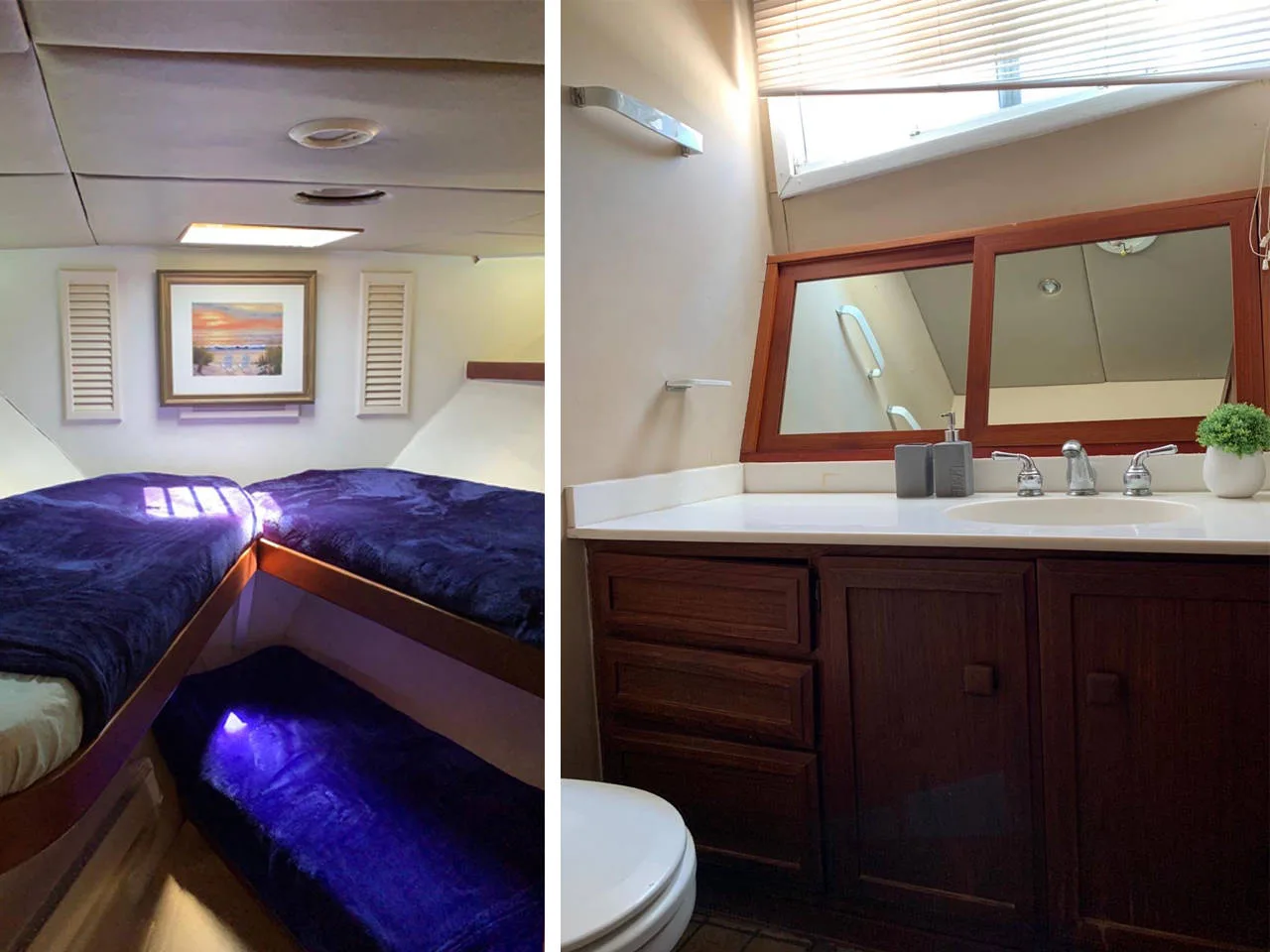 Baja Pacifica - All Inclusive Sunset Cruise