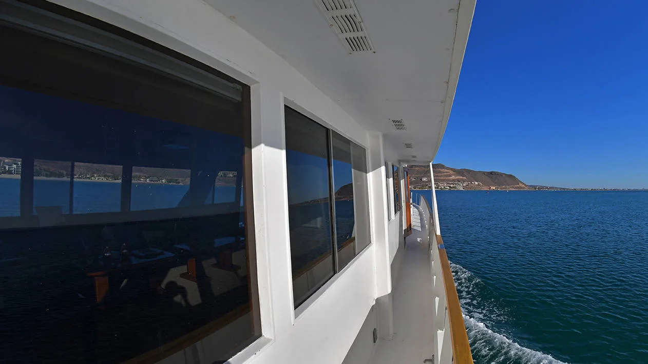 Baja Pacifica - All Inclusive Sunset Cruise