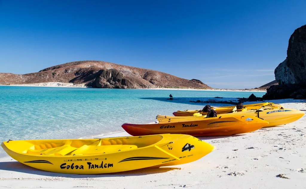 La Paz Beach Tour
