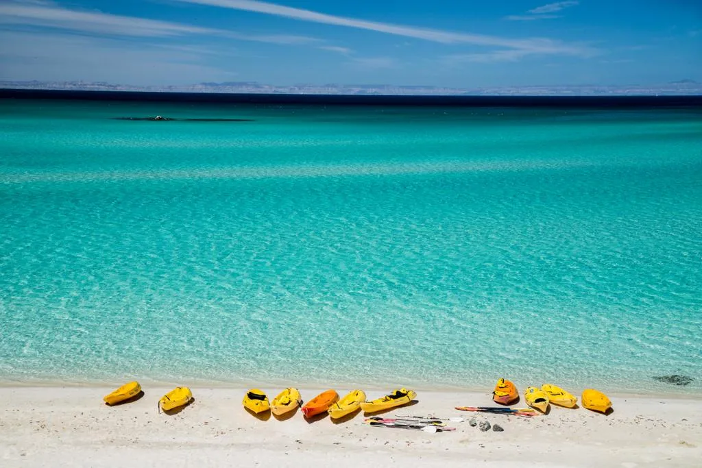 La Paz Beach Tour