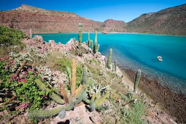 La Paz Beach Tour